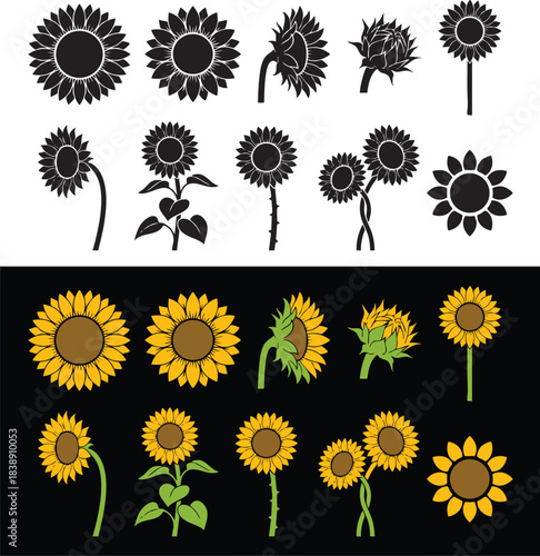 Summer sunflowers vector set. Silhouette sunflower, bouquet of sunflowers. Illustration background icons in flat style