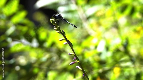 Beautiful creatures in nature
자연 속의 아름다운 생물들
