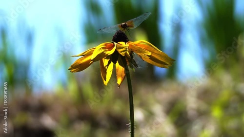 Beautiful creatures in nature
자연 속의 아름다운 생물들