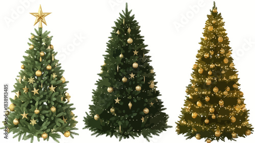 Three decorated christmas trees in varying styles against a plain white background