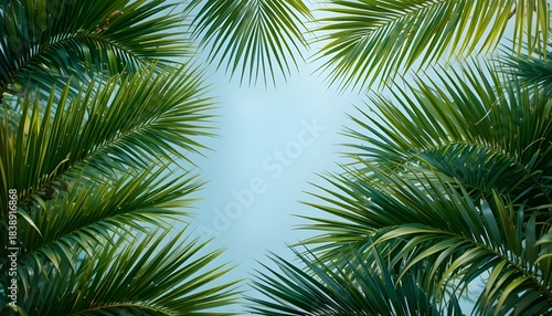 Wallpaper Mural Tropical Palm Leaves Background with Lush Green Foliage and Natural Texture" Torontodigital.ca