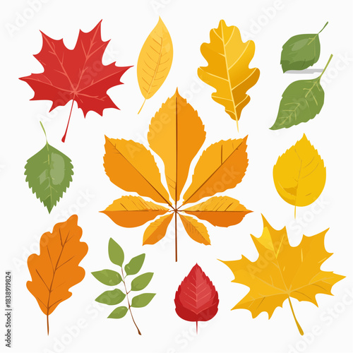 Vibrant collection of colorful autumn leaves, featuring diverse tree foliage designs like maple, oak, and chestnut, perfect for fall season graphic projects and nature-inspired themes