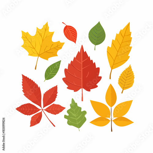 Collection of autumn leaves in various shapes and colors, including maple, oak, and birch, representing the changing seasons and natural beauty