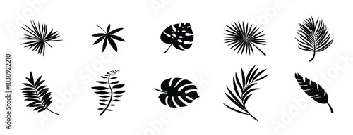 Vibrant tropical hibiscus flowers and exotic green leaves watercolor illustration set, vector illustration.