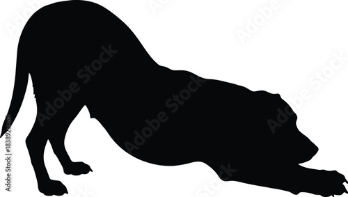 Silhouette of a dog stretching in a downward pose