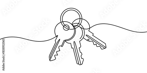 three metal keys on a key ring, symbolizing security, access, ownership, and everyday personal items.