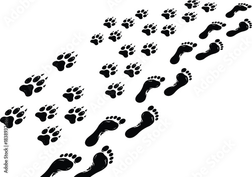 Black Silhouette Trails of Human Bare Footprints and Animal Paw Prints Crossing Paths Diagonally, Representing a Journey or Tracking Vector