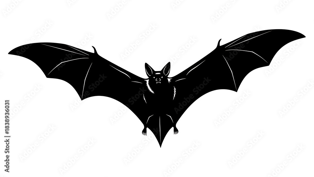 Fototapeta premium Black bat flying in the air with white background