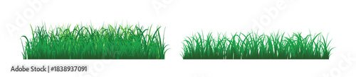 Grass Border realistic style. Collection of green grass borders and elements for design and decoration purposes, vector illustration.
