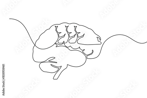 One line drawing of human brain, concept of mind and intelligence.