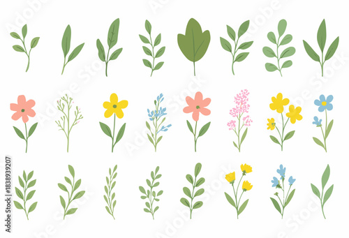 Minimal Floral Leaves and Wildflower Vector Set