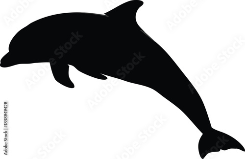 Sea Dolphin Silhouette Vector – Flat Marine Animal Illustration