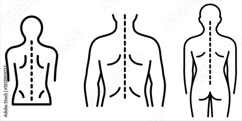 Normal Spine Anatomy Linear Vector Icon. Thin line illustration representing Ergonomics, Wellness, Physical Therapy, and Body Alignment.