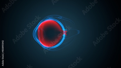 Eye vitreous body anatomy. 3d illustrations