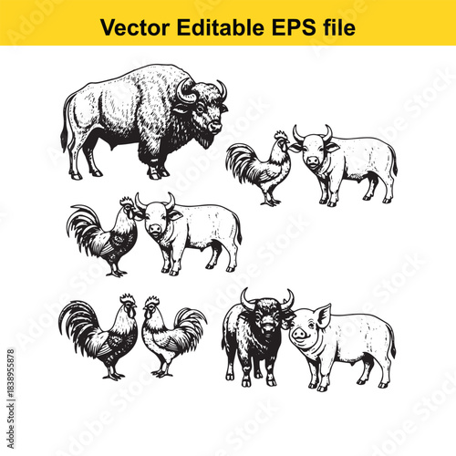  farm animals buffalo, bull, pig, rooster, chicken, vector illustration