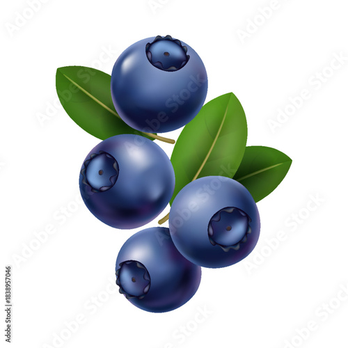 Shimmering blueberry bunches on leafy backdrop art, Colorful illustration showcasing glossy blueberries with dew and vibrant leafy surroundings for culinary presentation