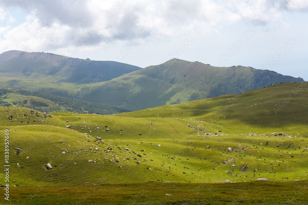 Fototapeta premium Tianshan Mountains in Kyrgyzstan