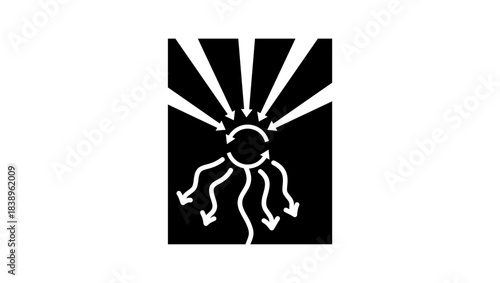 photosynthesis principle , black isolated silhouette