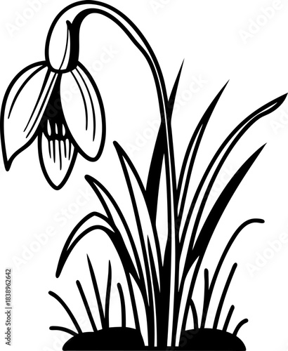 Snowdrop flower silhouette with curved stem and narrow leaves simple black line botanical illustration of early spring woodland plant