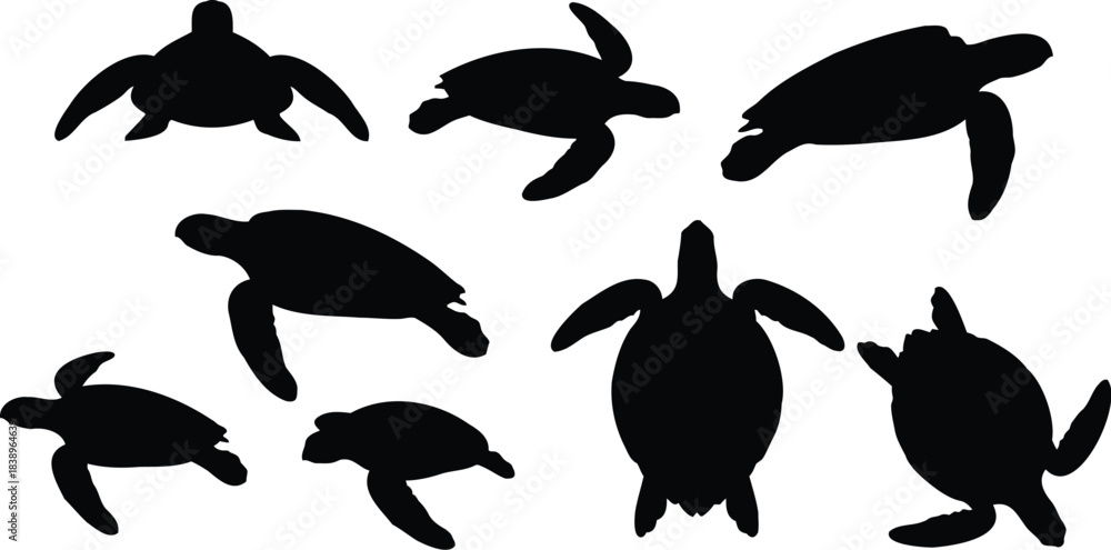 Fototapeta premium Turtle silhouette illustration vector in different angles