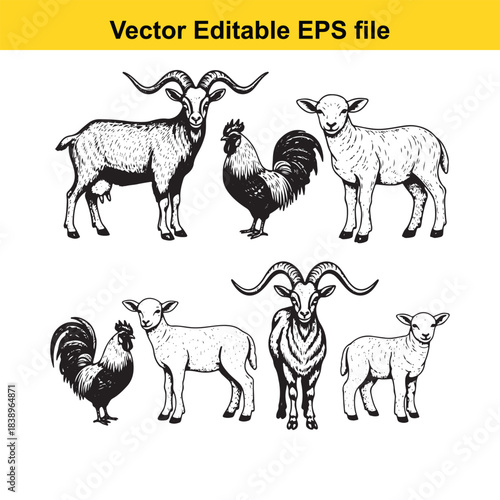  farm animals goats, sheep, and roosters in a vintage sketch style