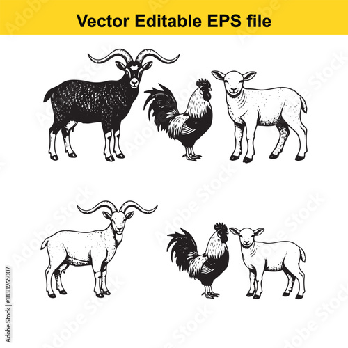  farm animals goats, roosters, and lambs in a vintage sketch style, isolated on white
