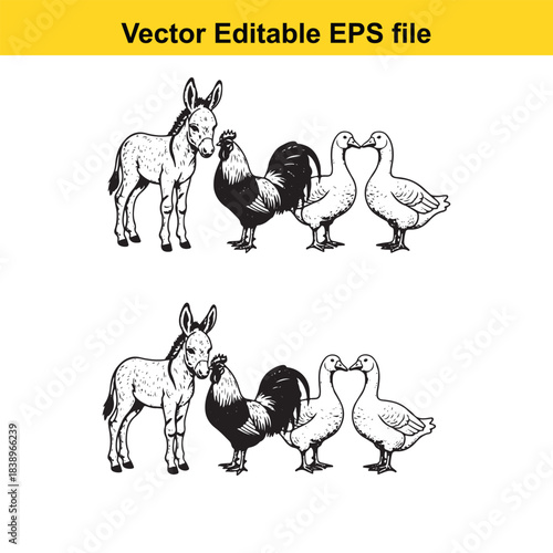  two donkeys, rooster, and two ducks in a line, and another set of the same animals in a line