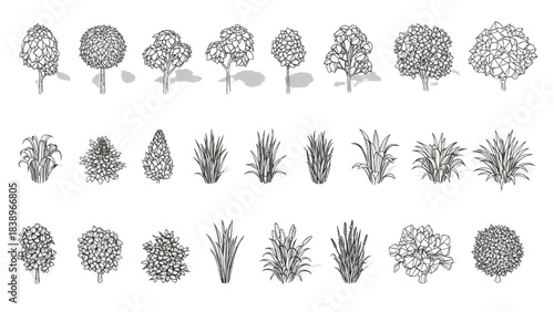 CAD Tree Plant Elevation Drawing Bundle Architectural Landscape Symbol Library Top View Plan Detail Set