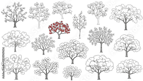 A diverse collection of illustrated cad tree outlines, showcasing various species and growth patterns in a clean, graphic style