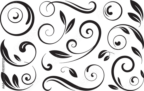 Set of black swirls and flourishes with leaves, white