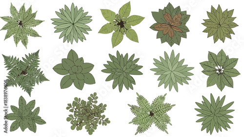 Collection of Assorted Green Plants Top View Vector Illustrations on White Background