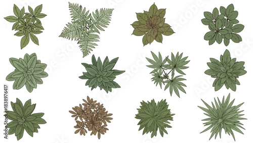 Top View Illustration Set of Various Green Plants and Foliage for Design