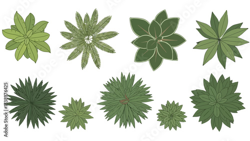 Collection of Diverse Green Plants Seen From Above, Top View Illustrations
