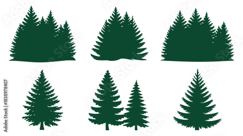 Evergreen pine forest trees and individual tree silhouettes set Vector, illustration