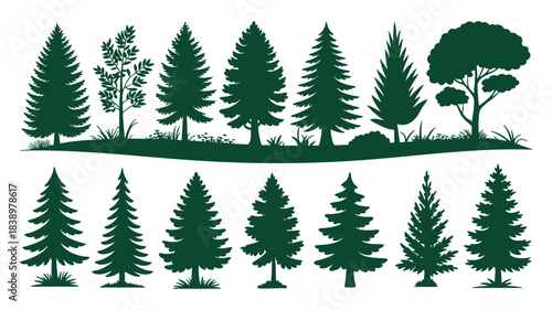 Green tree silhouettes set, forest and individual conifer plants Vector, illustration