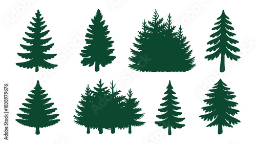 Evergreen tree silhouettes collection Vector
