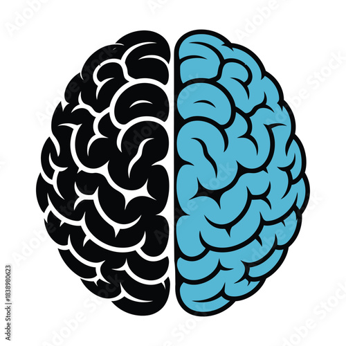 Human brain hemispheres graphic design Vector