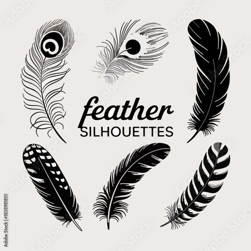Feather Silhouettes: A collection of exquisite feather silhouettes, each detail captured, showcasing the artistry and intricacy of nature's design.