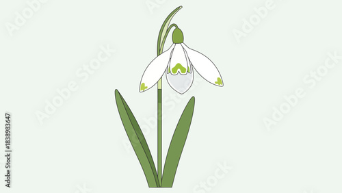 A stylized illustration of a single snowdrop flower with white petals and green markings