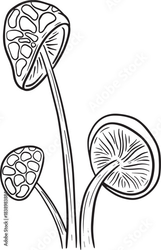 Fun Cartoon Mushroom Toadstool Character Vector Illustration