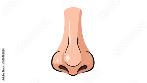 Closeup stylized illustration of a human nose on a white background