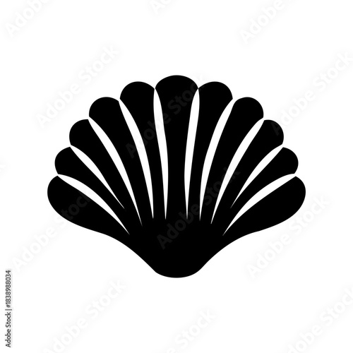 Monochrome image depicting a seashell, with a symmetrical and decorative appearance