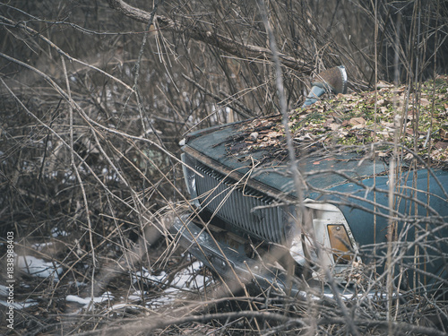 山に放置されている日本車のフロント部分