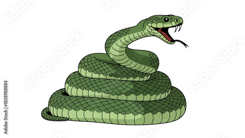 Green coiled snake with open mouth fangs and forked tongue