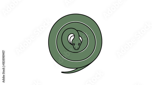 Green snake coiled into a spiral facing forward with eyes visible