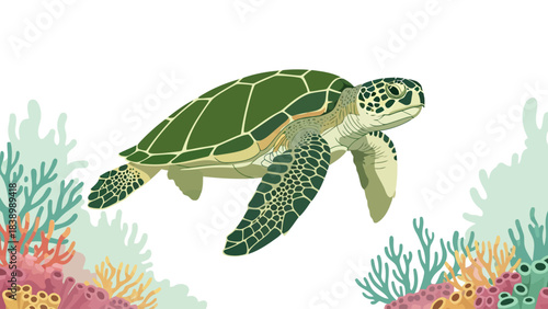 Illustration of a green sea turtle swimming above colorful coral reef elements