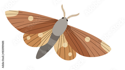 Illustration of a brown and tan moth with feathery antennae against a white background