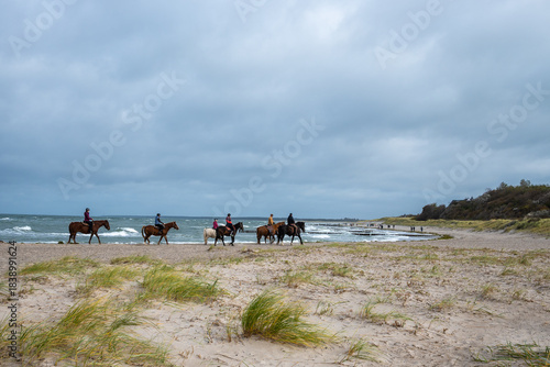 Reitergruppe am Strand von Ahrenshoop.