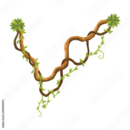 Liana branch. Twisted wild jungle vine plants. Woody natural tropical rainforest, exotic botany element. Vector design element
