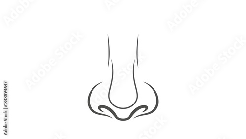 Minimalist outline drawing of a human nose on a white background